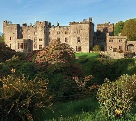 Ground Floor Twin King Bed Option Free Parking